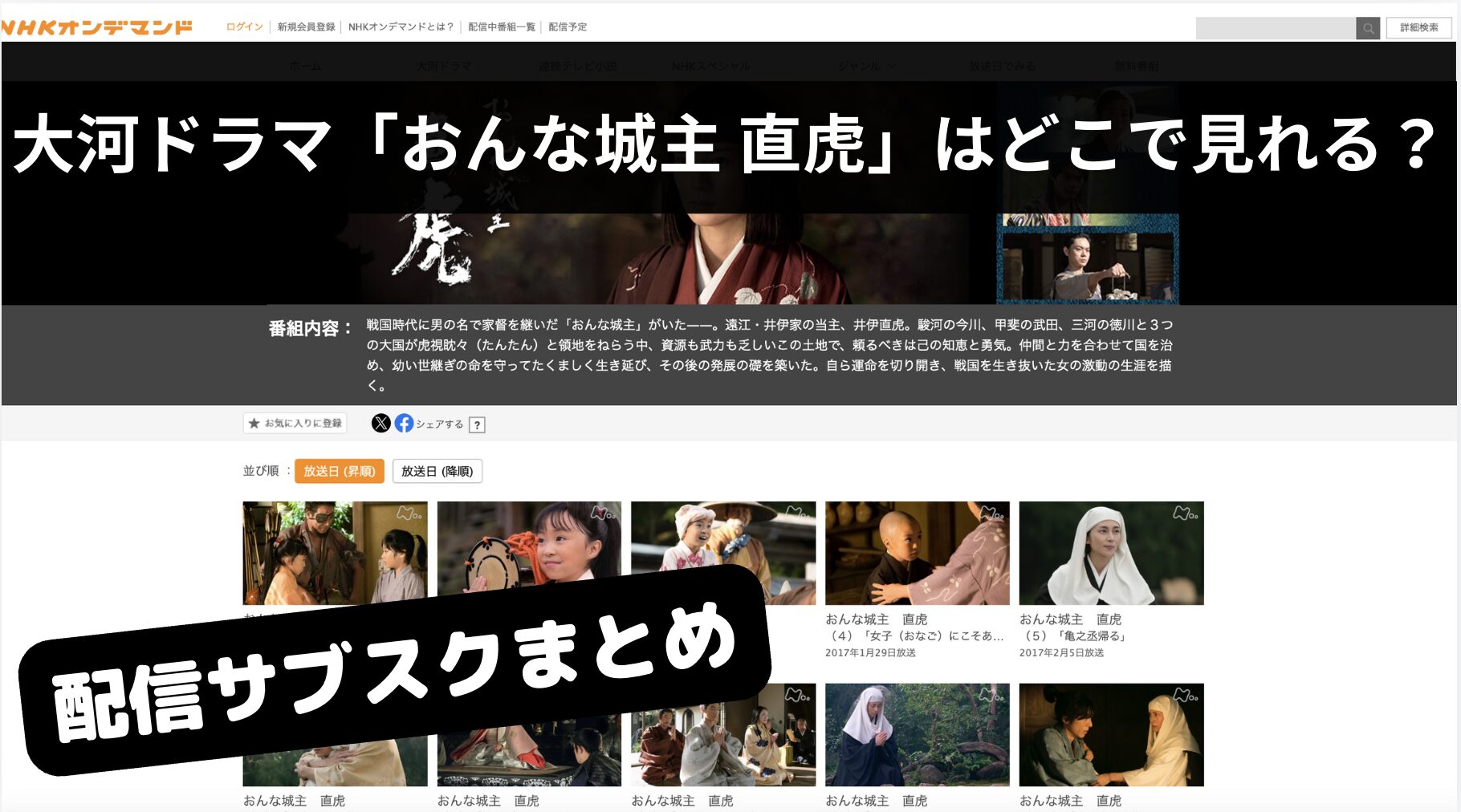 「おんな城主 直虎」の配信サブスクは？Netflix等どこで見れるのかまとめ