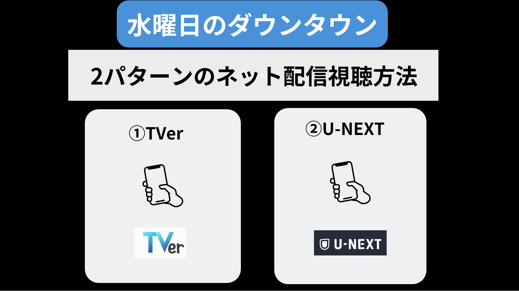 水曜日のダウンタウンのネット配信での視聴方法は？海外で見る場合の注意点も